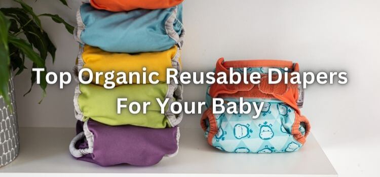 best organic reusable diapers
