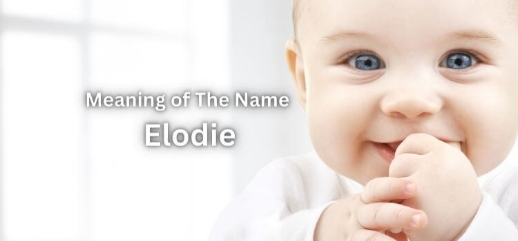 Meaning of The Name Elodie