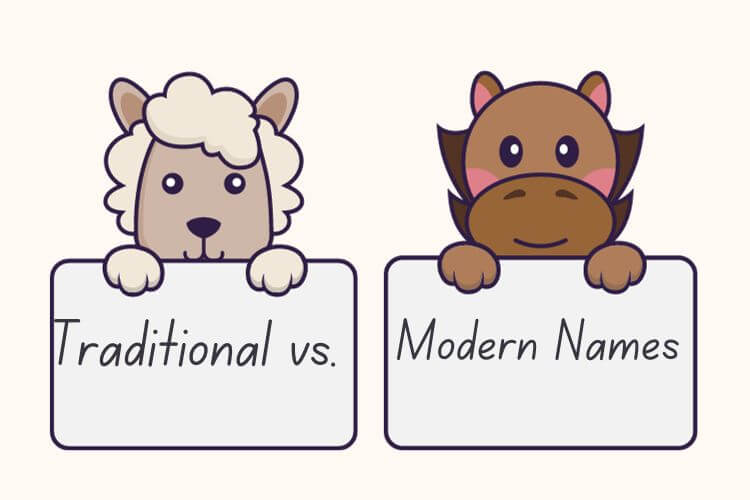 Traditional vs. Modern Names